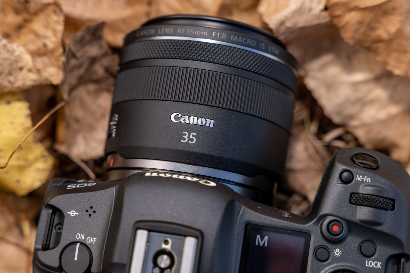 Russia dye Contradict Canon RF 35mm f/1.8 IS Macro STM Review: A good entry-level lens