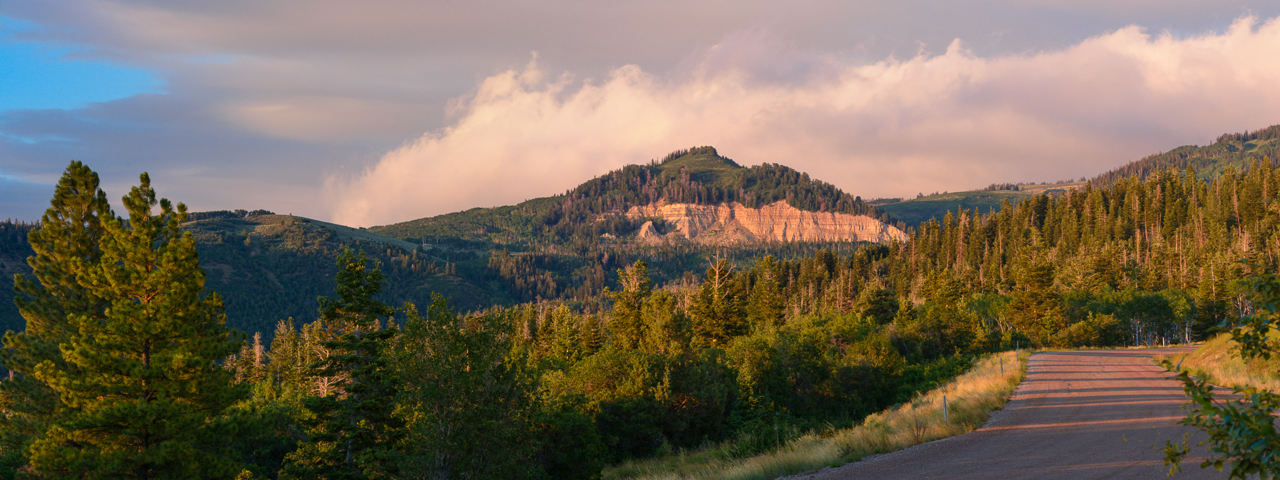 PF-001-2 Nikon D7100, 105mm f/2.8 Micro VR lens, f/11, 1/100s, ISO 500, finished in Lightroom5, stitched in Photoshop CC.