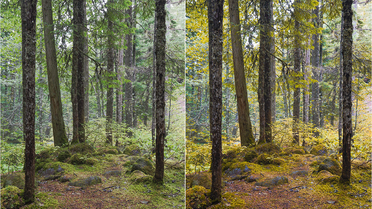 before-after-as-Smart-Object-1 before-after-as-Smart-Object-1