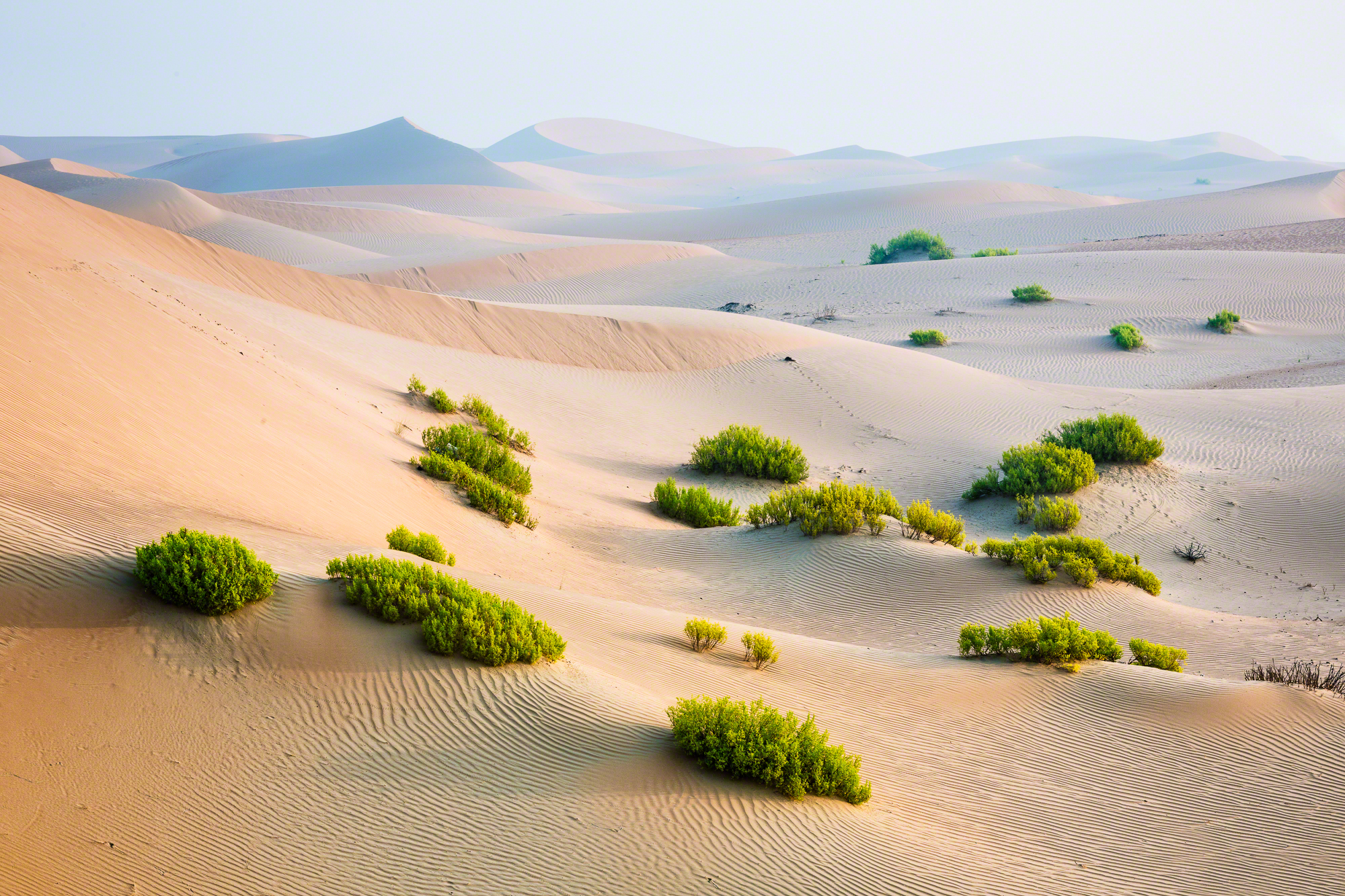 Abu Dhabi Desert Abu Dhabi Desert