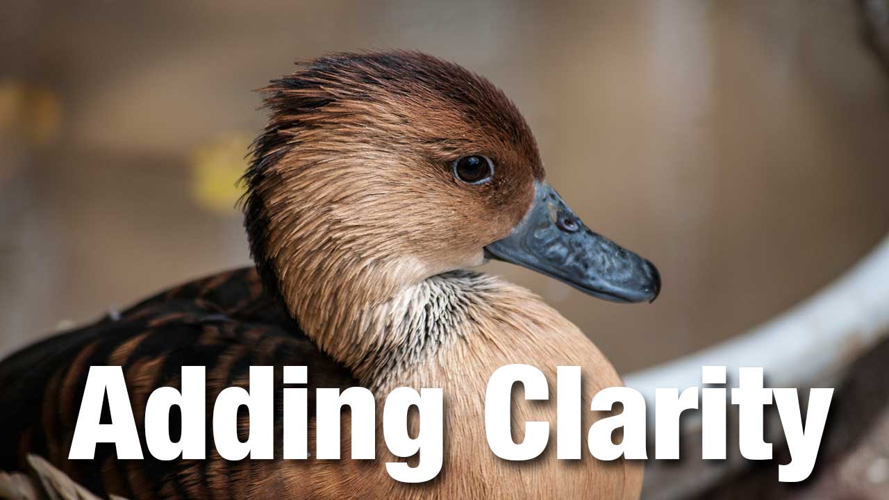 AddingClarity AddingClarity