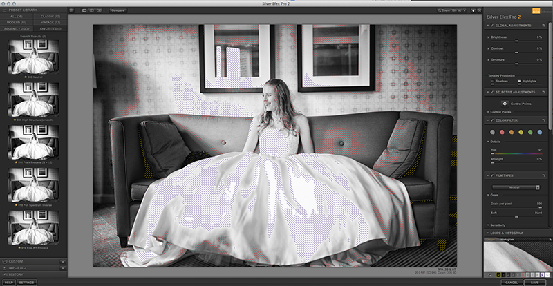 Here, zone 0, V, and IX are highlighted in Google NIK Silver Efex Pro, show exactly which tones are which zone value.