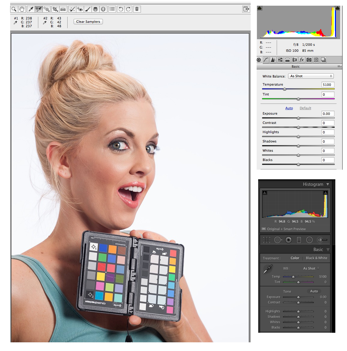 Angling the ColorChecker toward the light source makes for a more accurate reading.