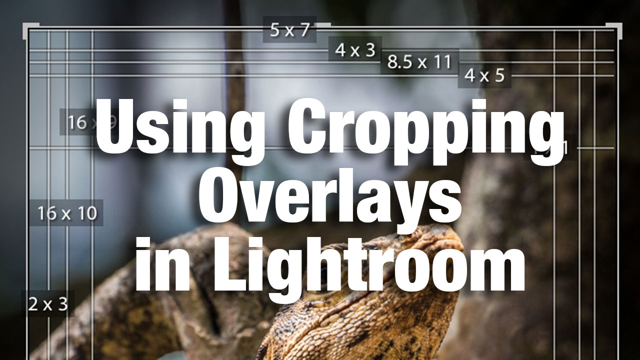 Using Cropping Overlays In Lightroom Photofocus Using Cropping Overlays In Lightroom Photofocus