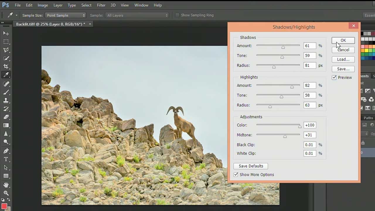Using Shadows and Highlights Adjustments in Photoshop - Photofocus