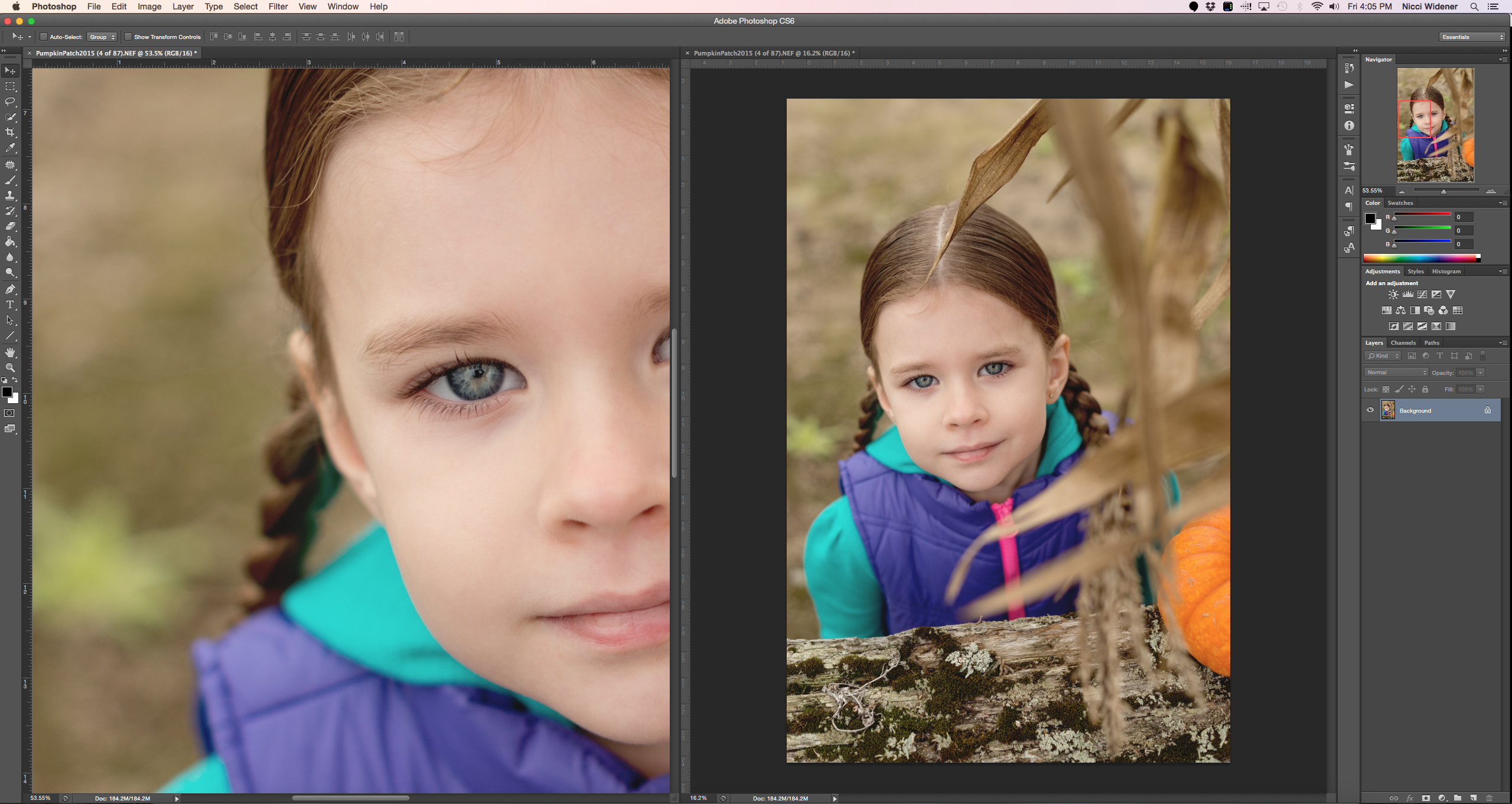 can you download to two photoshop elements on one computer