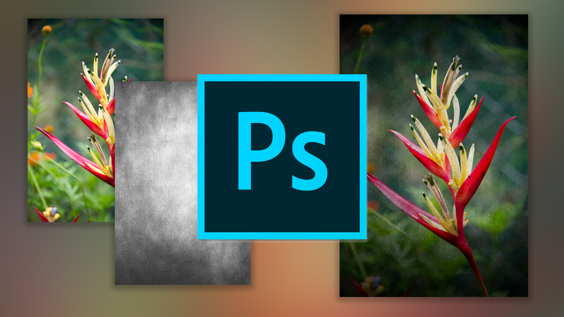Trying out Blending Modes in Photoshop - Photofocus