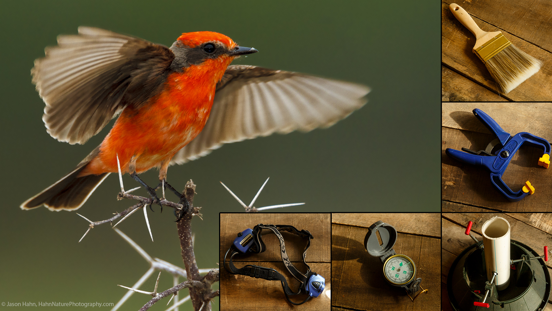 featured-jhahn-bird-and-gear featured-jhahn-bird-and-gear