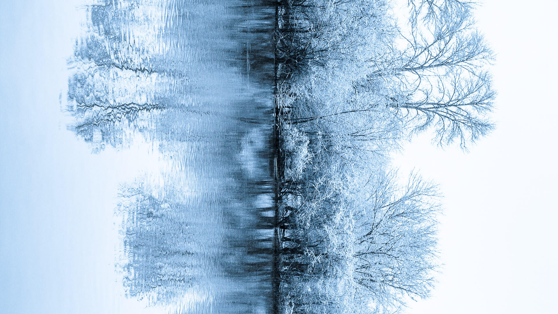 Winter Rorscach ©2015 Lauri Novak (1) Winter Rorscach ©2015 Lauri Novak (1)