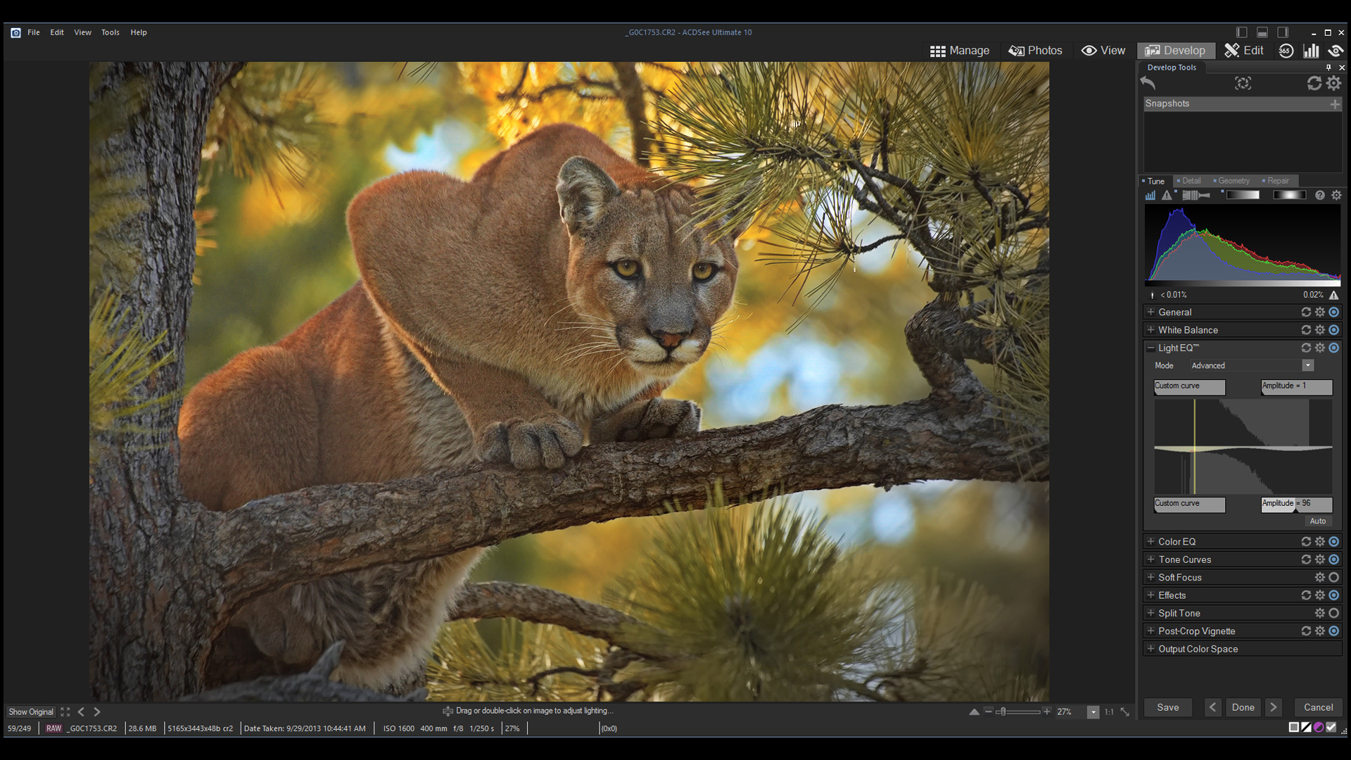 JHAHN-ACDSEE-Featured-Image-Template JHAHN-ACDSEE-Featured-Image-Template