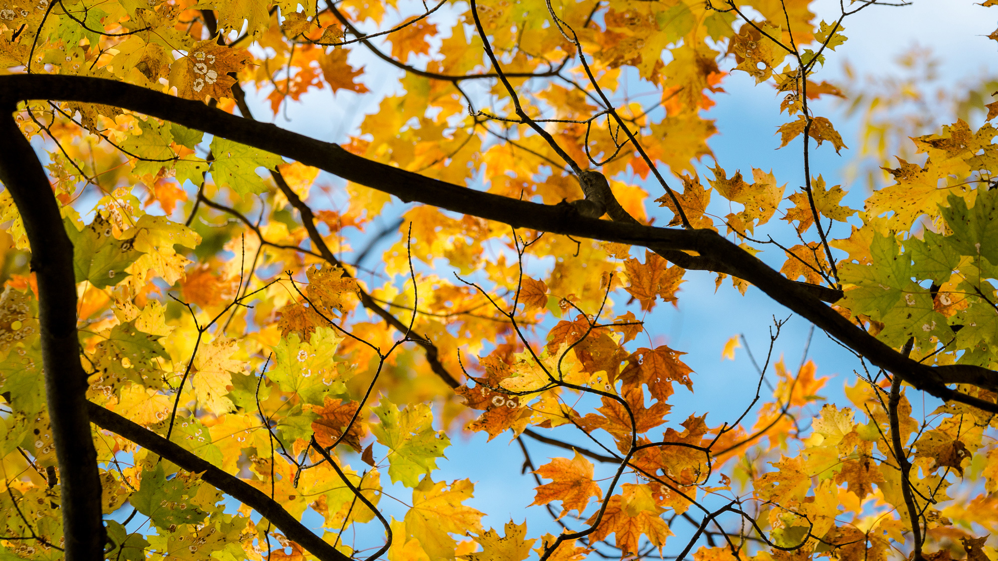 DSC_9194_After-Header DSC_9194_After-Header