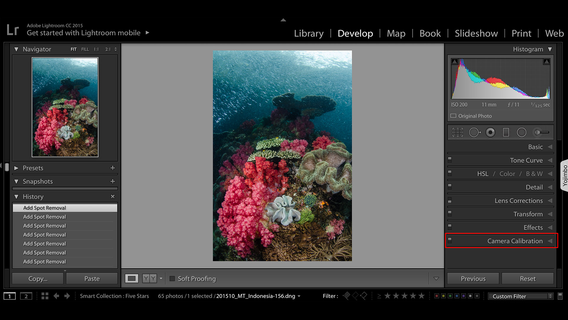 adobe lightroom cc 2015 direct download