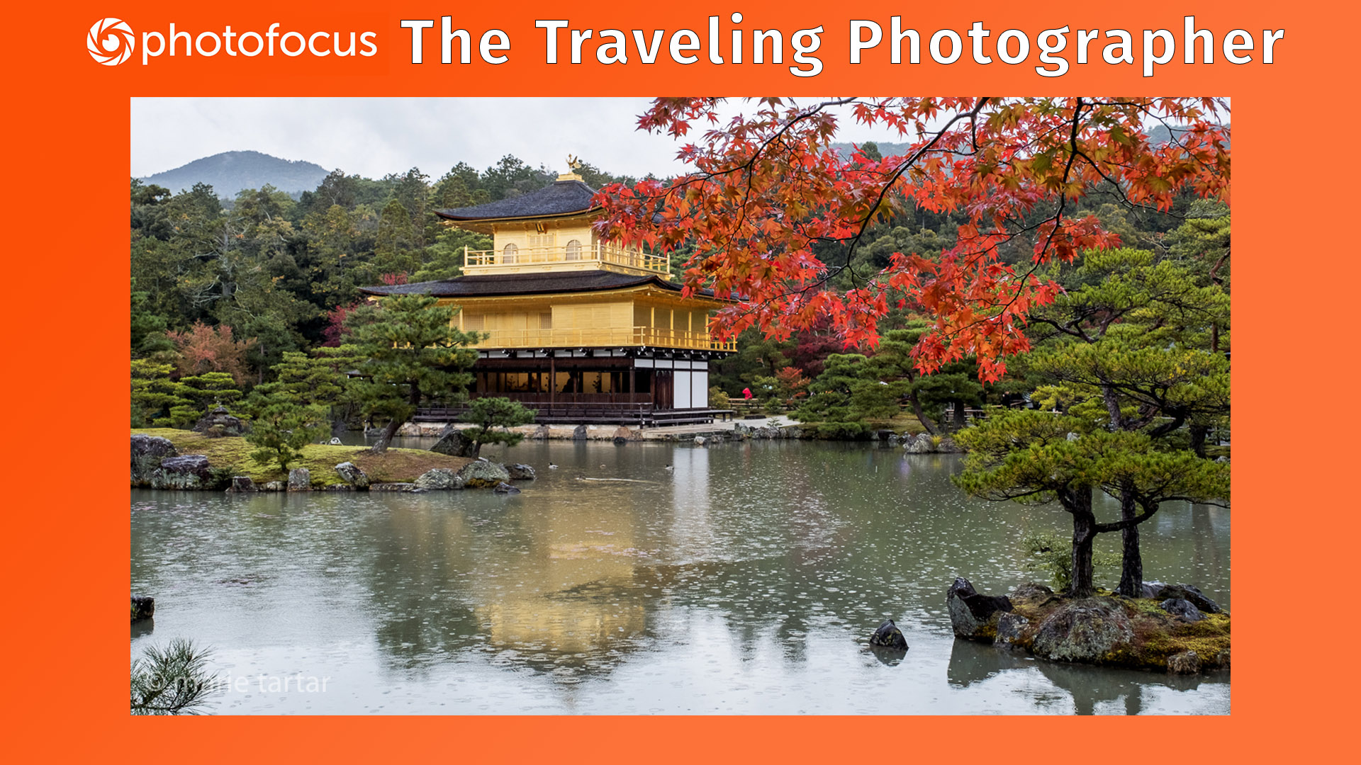 PhotoFocusKinkakujiFeatureImage Iconic Kinkakuji, the Golden Pavilion, in Kyoto, one of Japan's most splendid World Heritage sites