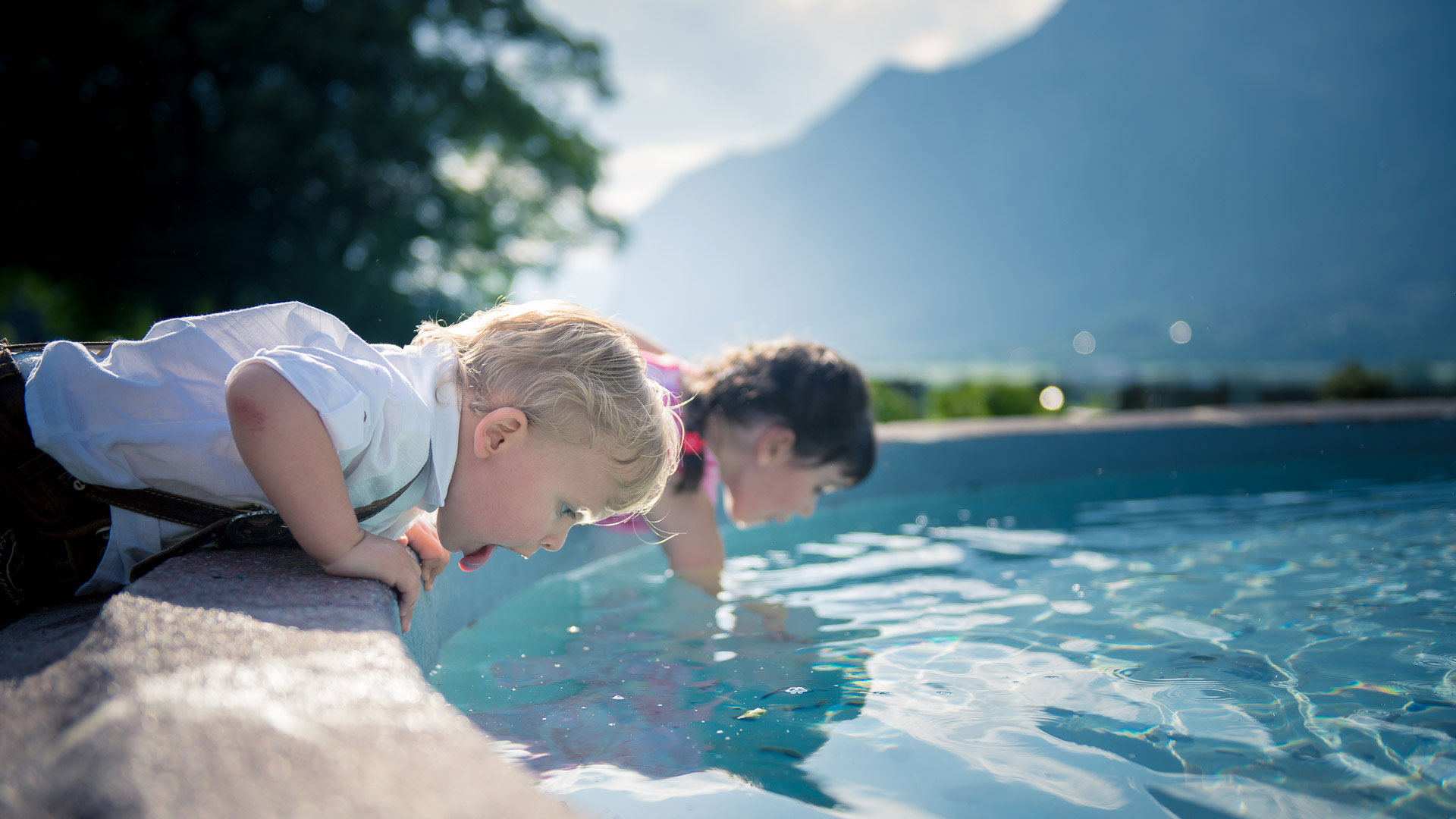 shark-pool-featured shark-pool-featured