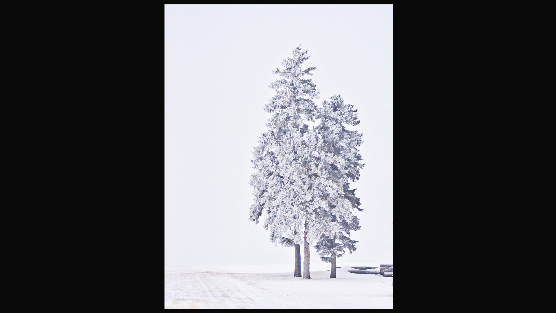 kBjornstad_Jan_2019_POTD Outdoor | Photographer: Krisitian BjornstadCurator: Rob Sylvan