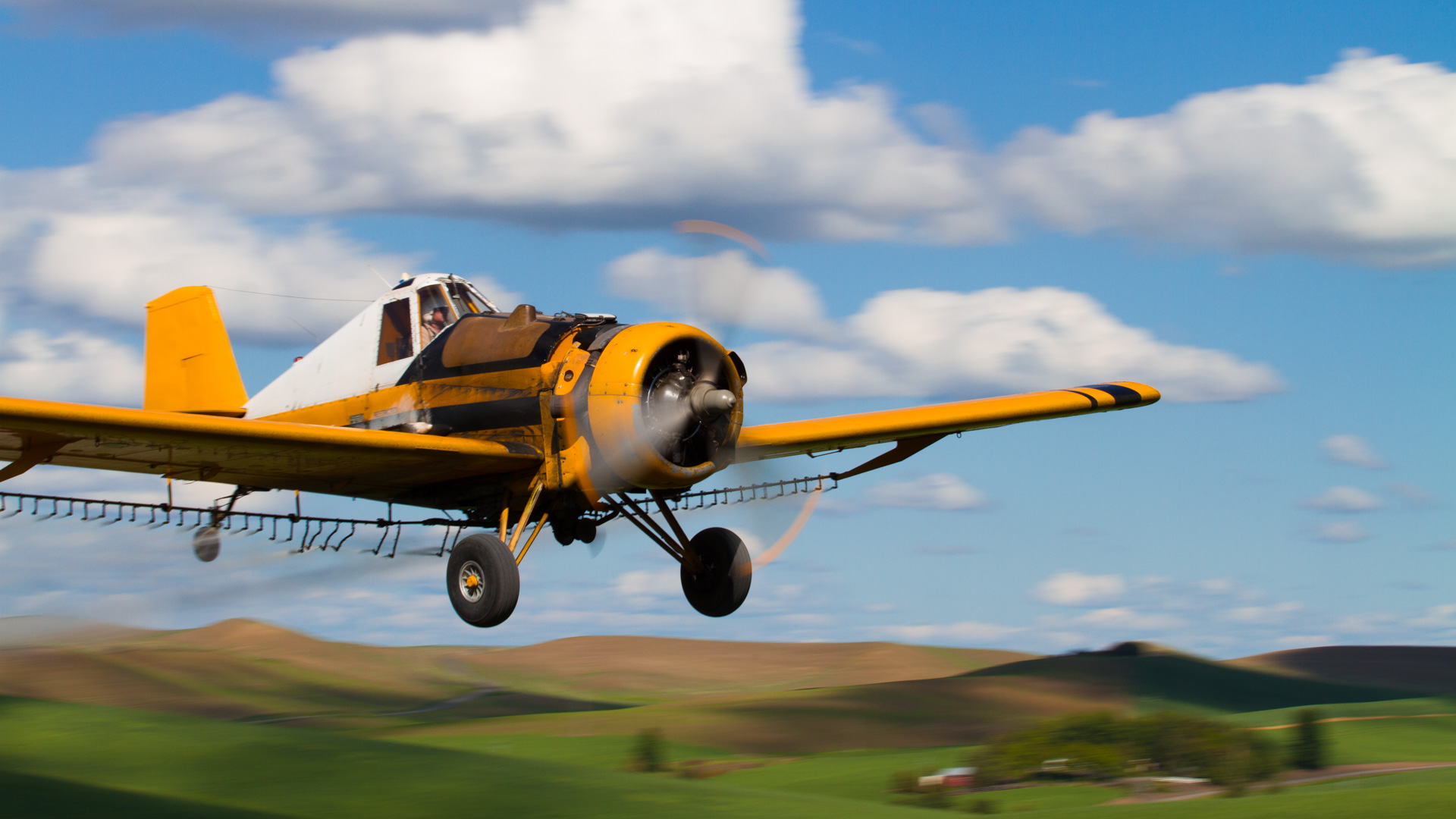 Tim Grey – Crop Duster Tim Grey - Crop Duster
