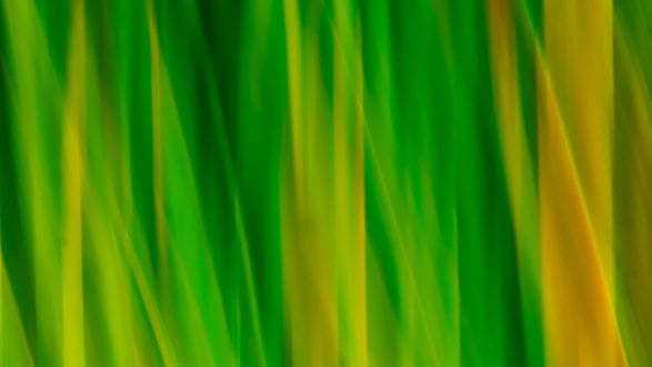 abstract_sooc_P1211240_2560p abstract_sooc_P1211240_2560p