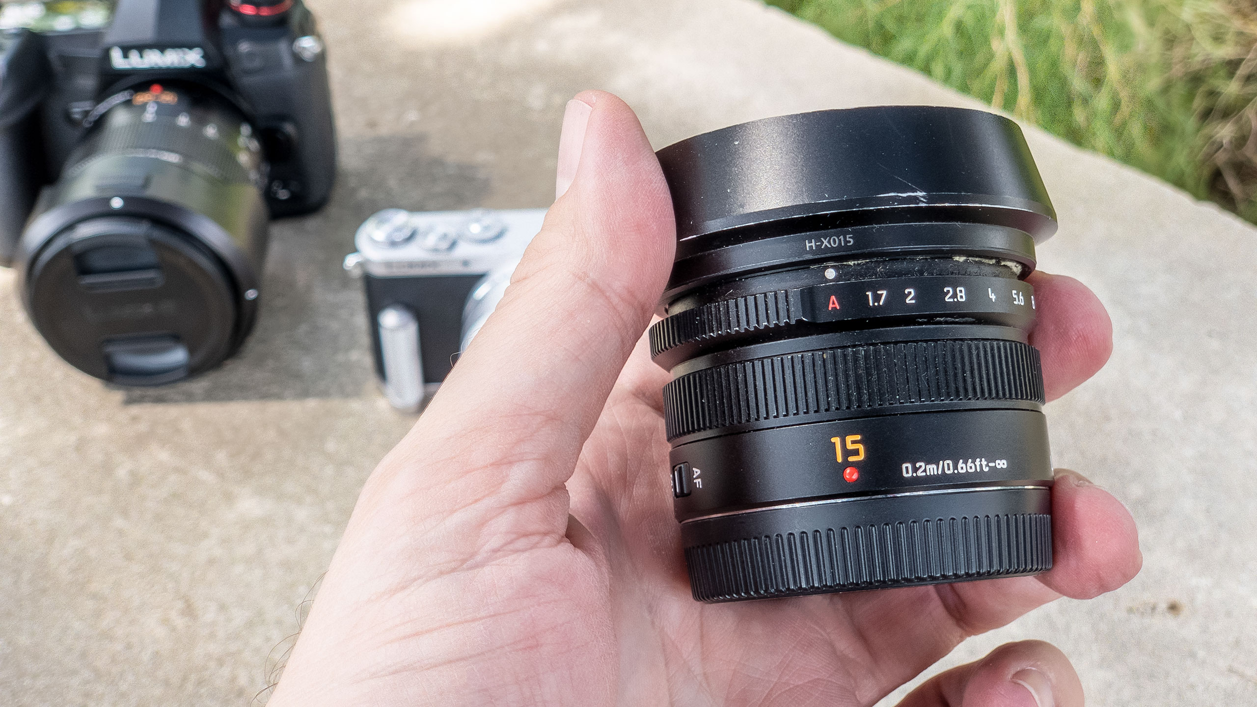 Summilux 15mm lens provides rich, warm colors for Lumix