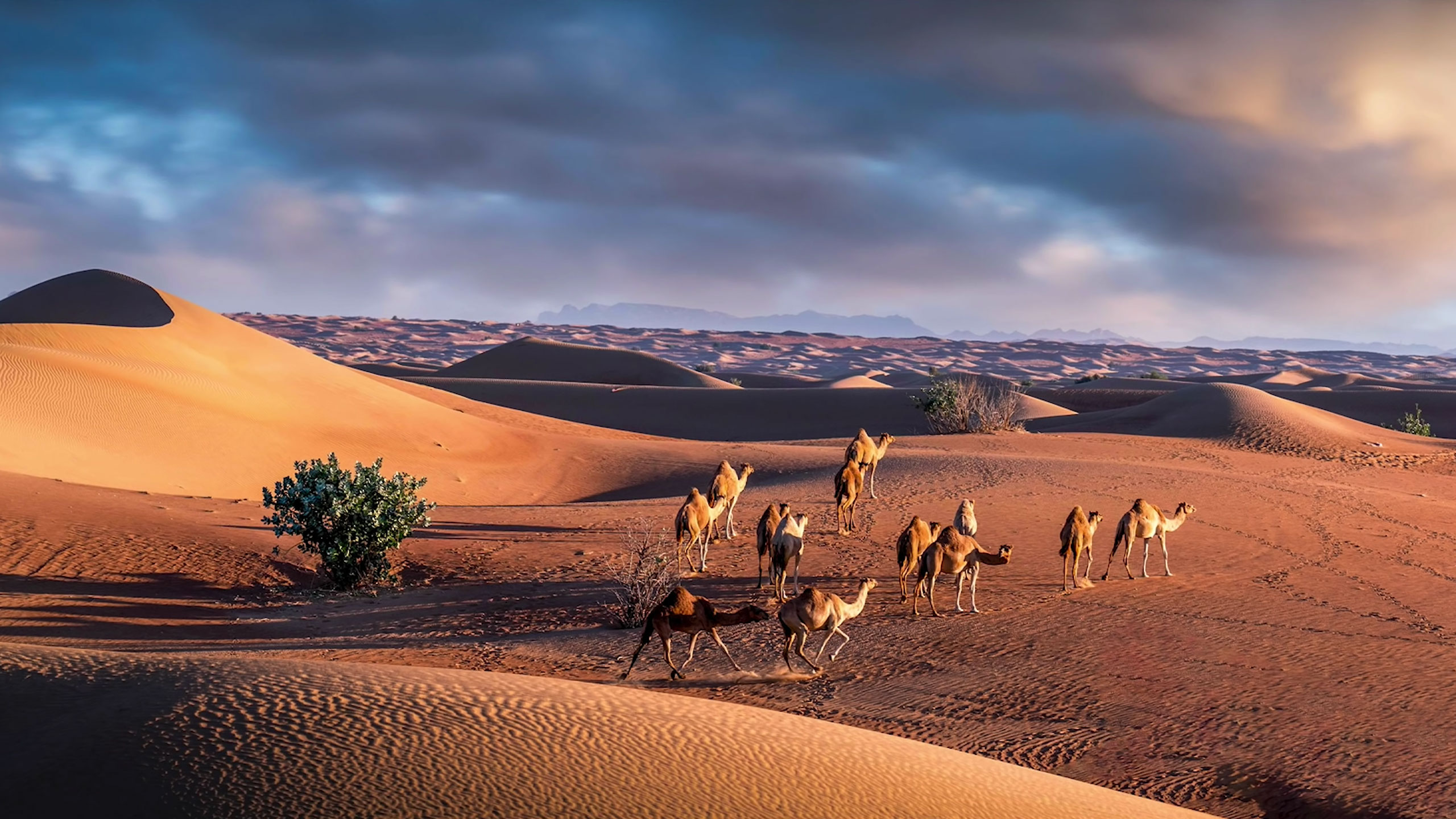 Creating dramatic desert photography Photofocus