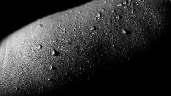 Easy macro photography project at home Easy macro photography project at home