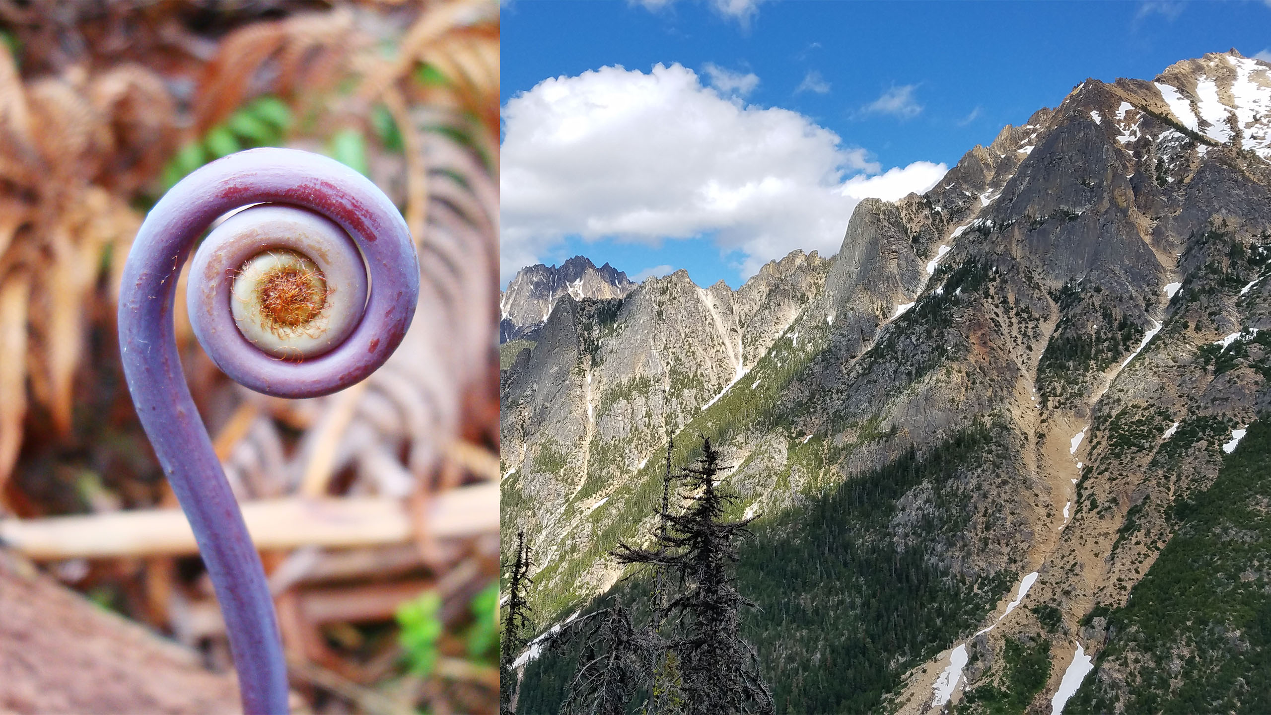 Understanding depth of field in nature photography - Photofocus