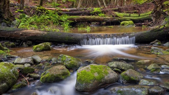 jeremy-gray-focus-stack-landscape-pros-cons-featured jeremy-gray-focus-stack-landscape-pros-cons-featured