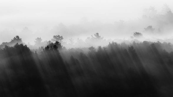 jeremy-gray-long-lenses-acadia-fog-bw-featured jeremy-gray-long-lenses-acadia-fog-bw-featured