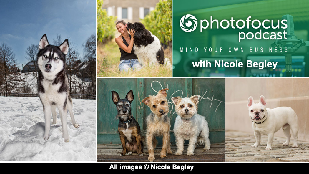 All images copyright Nicole Begley Photography