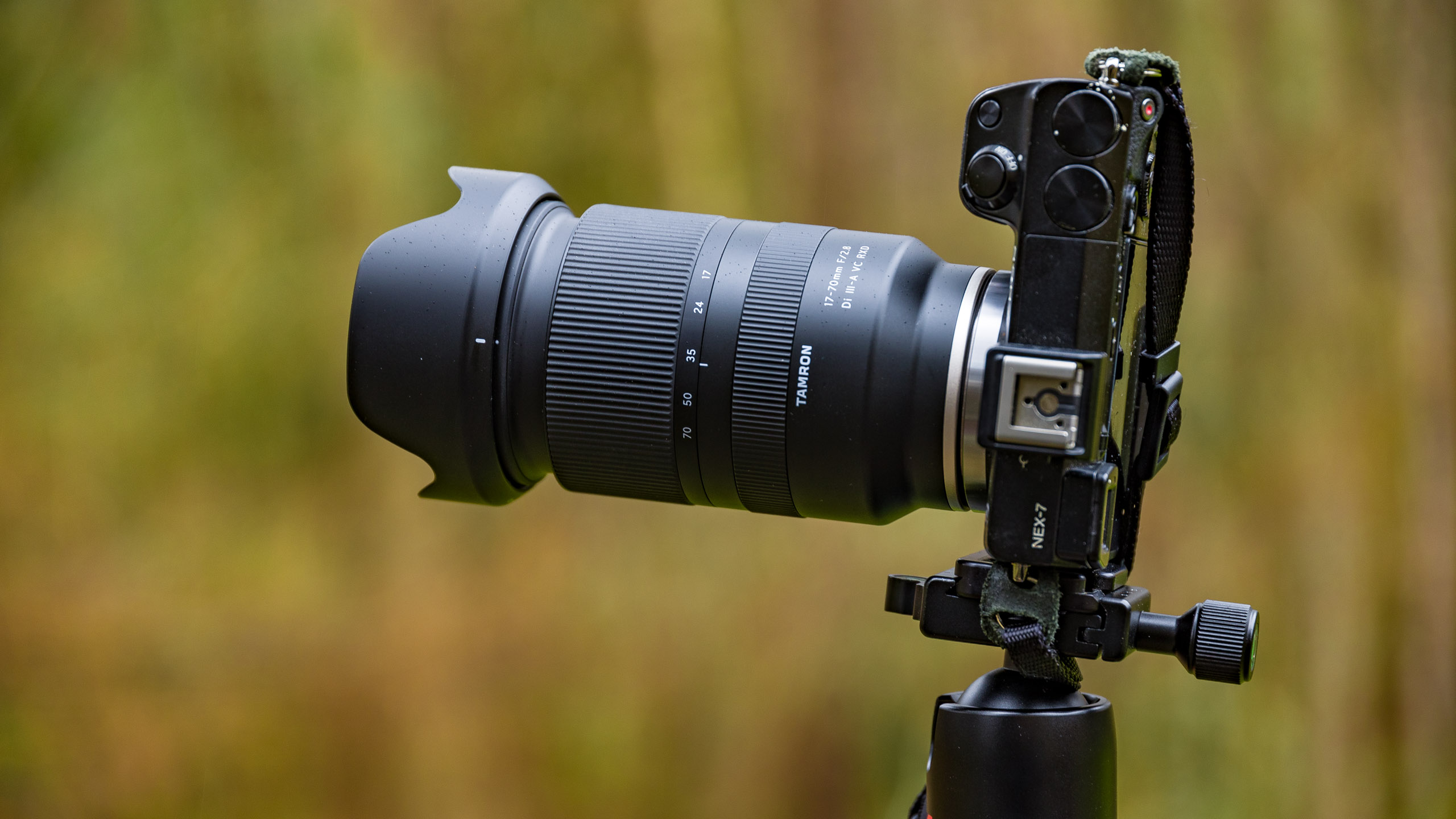 Lightweight powerhouse from Tamron a lens worth getting to know
