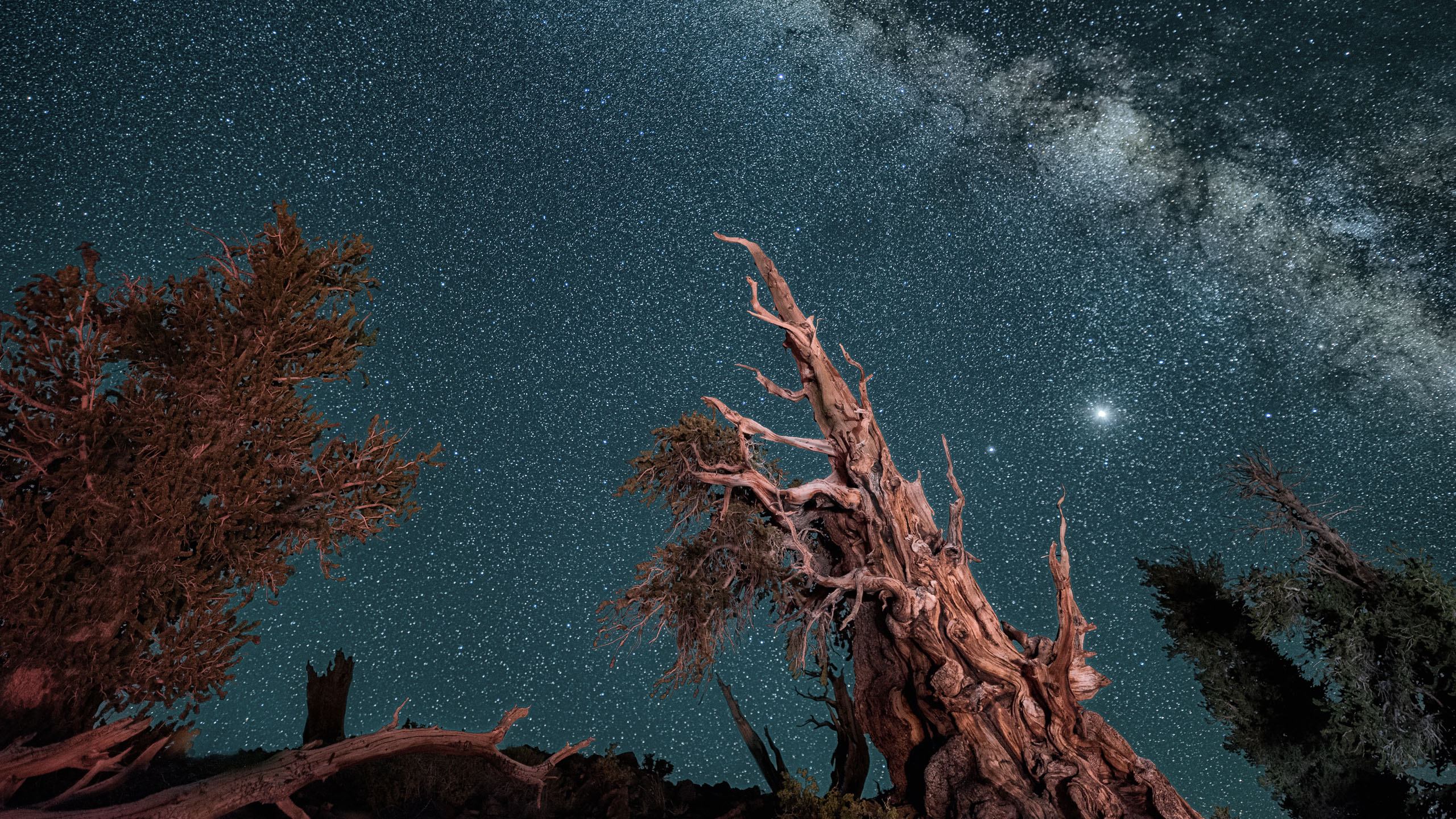 6843_kenlee_owensvalley-comet-neowise_200724_0000_sky40total-15sf25iso4000_abpf-silhouette-aimingup-milkyway-PHOTOFOCUS HEADER Made from 40 light frames by Starry Landscape Stacker 1.8.0. Algorithm: Mean Min Hor Star Dupe
