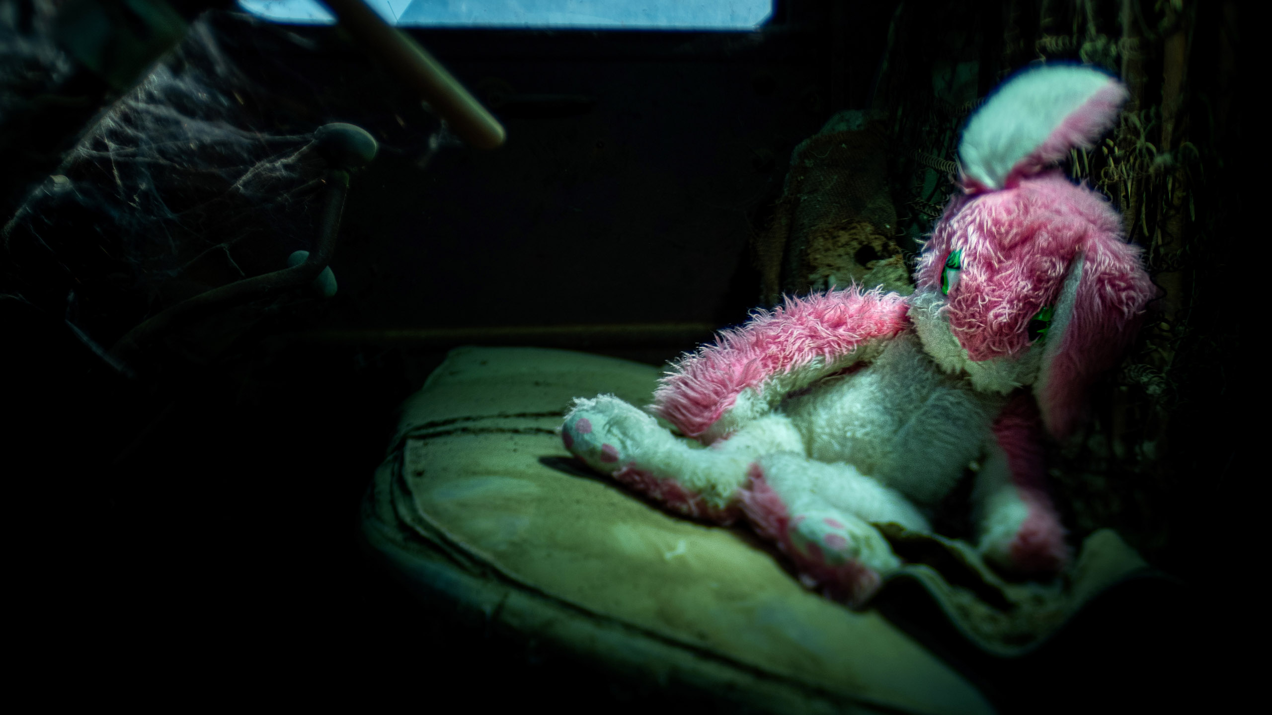 HEADER 2842_kenlee_eaglefield_201031_2007_75sfwhoknowsiso200_creepy-bunny-chevy-truck-interior-lensbaby_flat2-HEADER PHOTOFOCUS HEADER 2842_kenlee_eaglefield_201031_2007_75sfwhoknowsiso200_creepy-bunny-chevy-truck-interior-lensbaby_flat2-HEADER PHOTOFOCUS