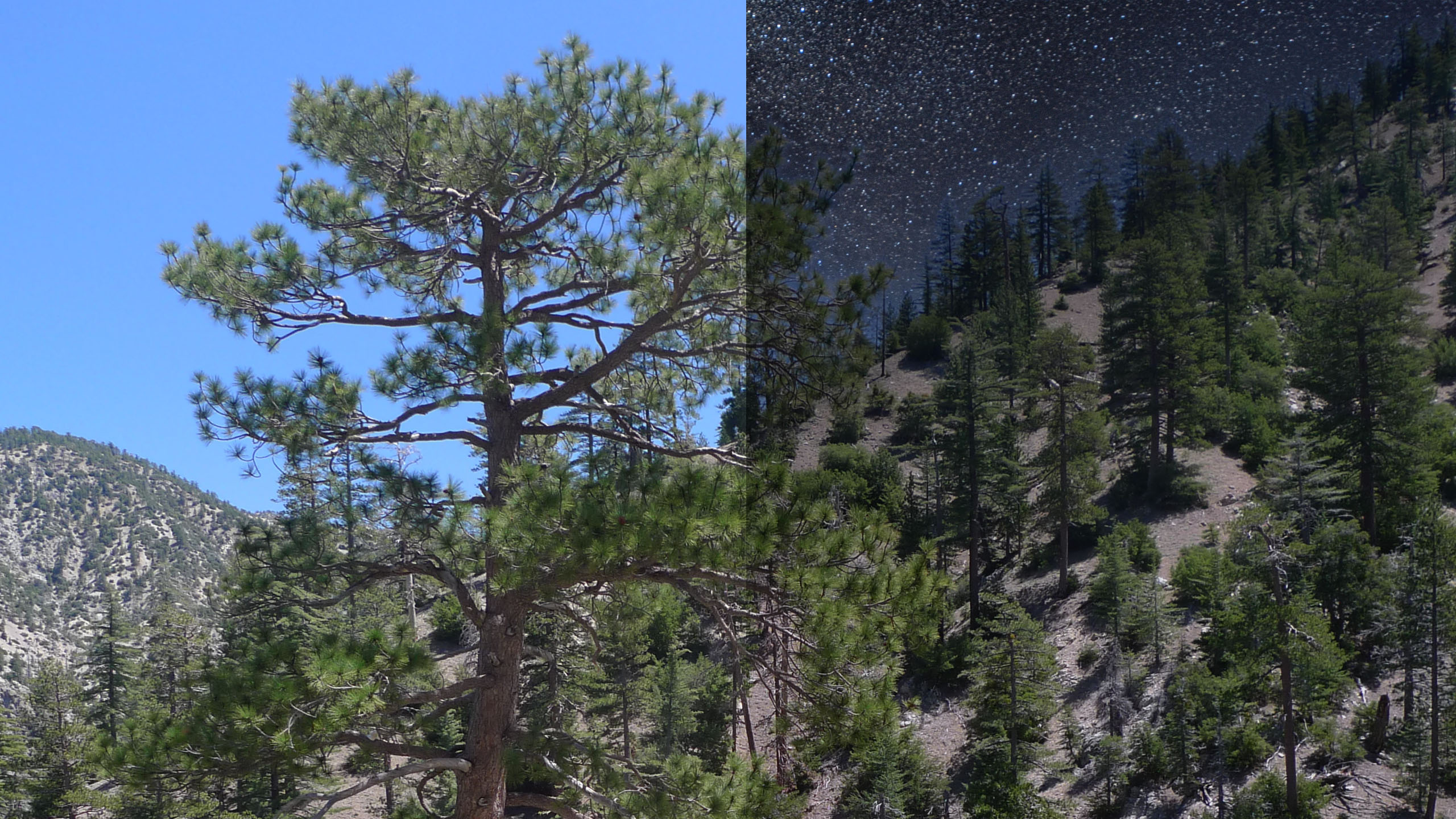 PHOTOFOCUS 2560x1440px sky replacement before and after PHOTOFOCUS 2560x1440px sky replacement before and after