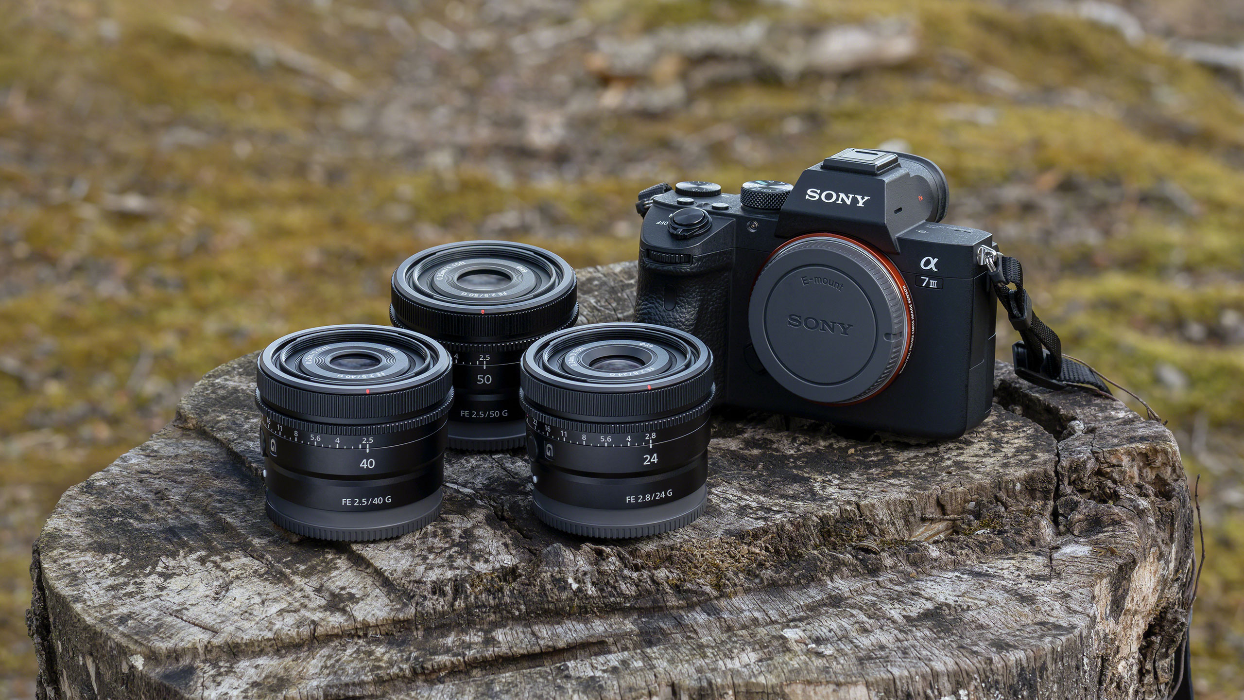 sony-compact-featured sony-compact-featured