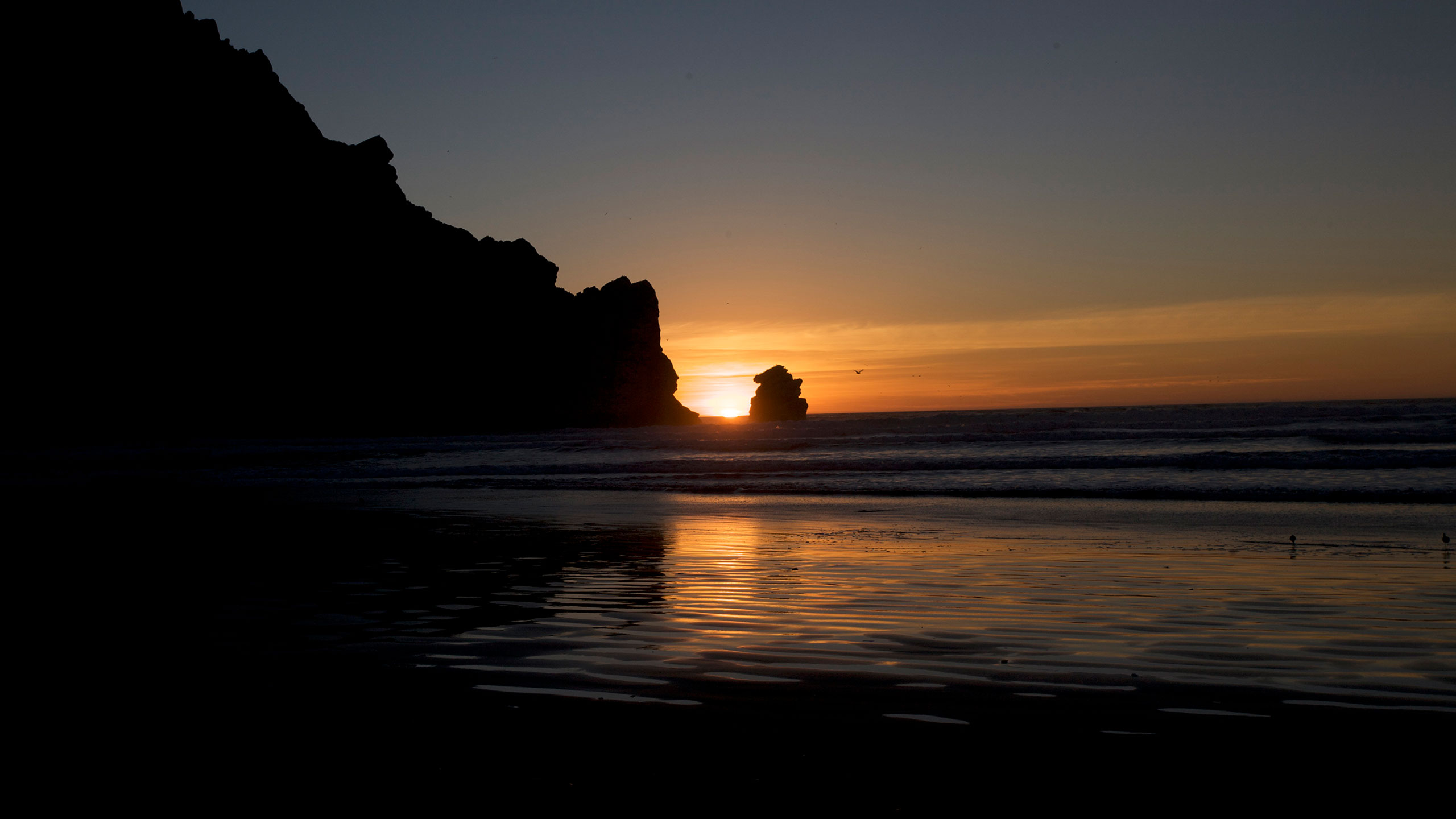Ed-Lareau-Featured-image Ed Lareau