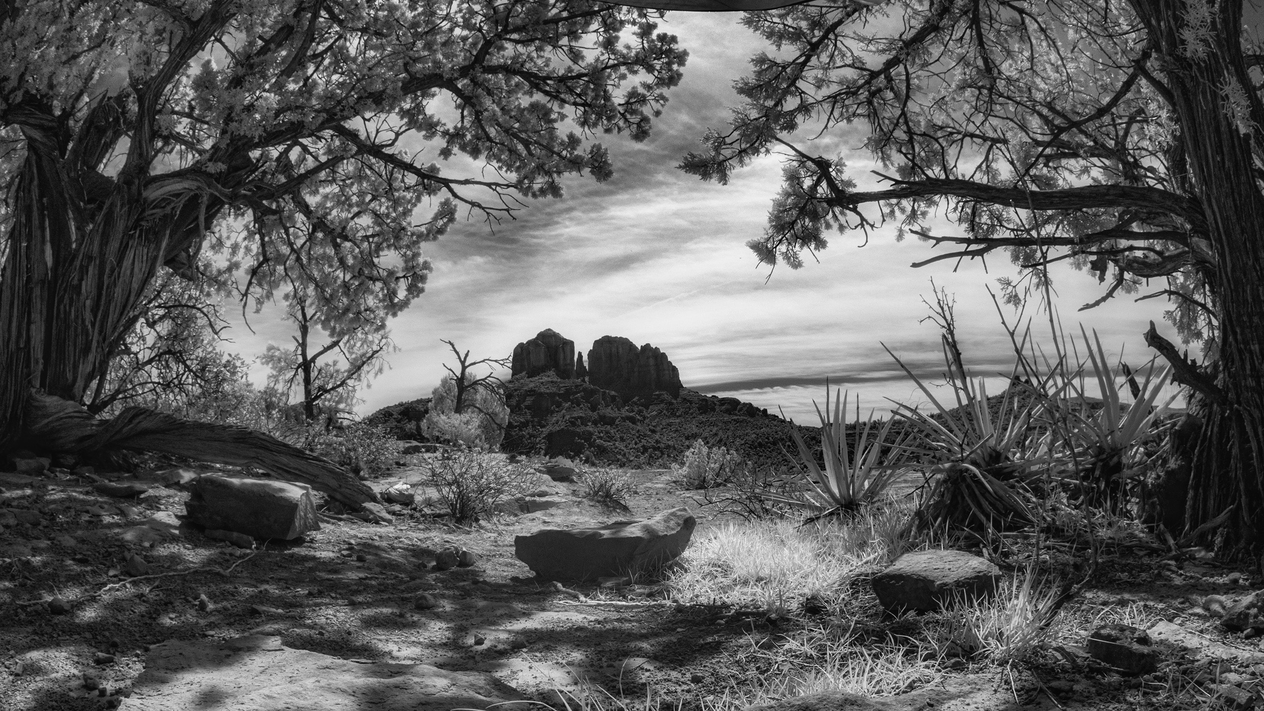 secret_slickrock_P1280613_2560p secret_slickrock_P1280613_2560p