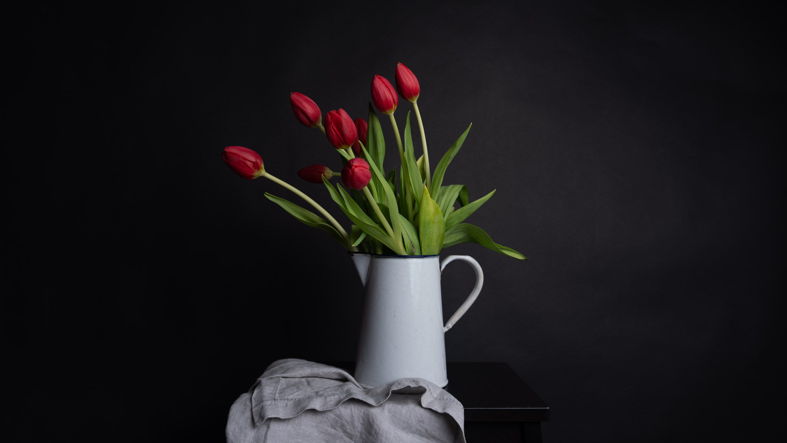 DSC00549-2 red tulips