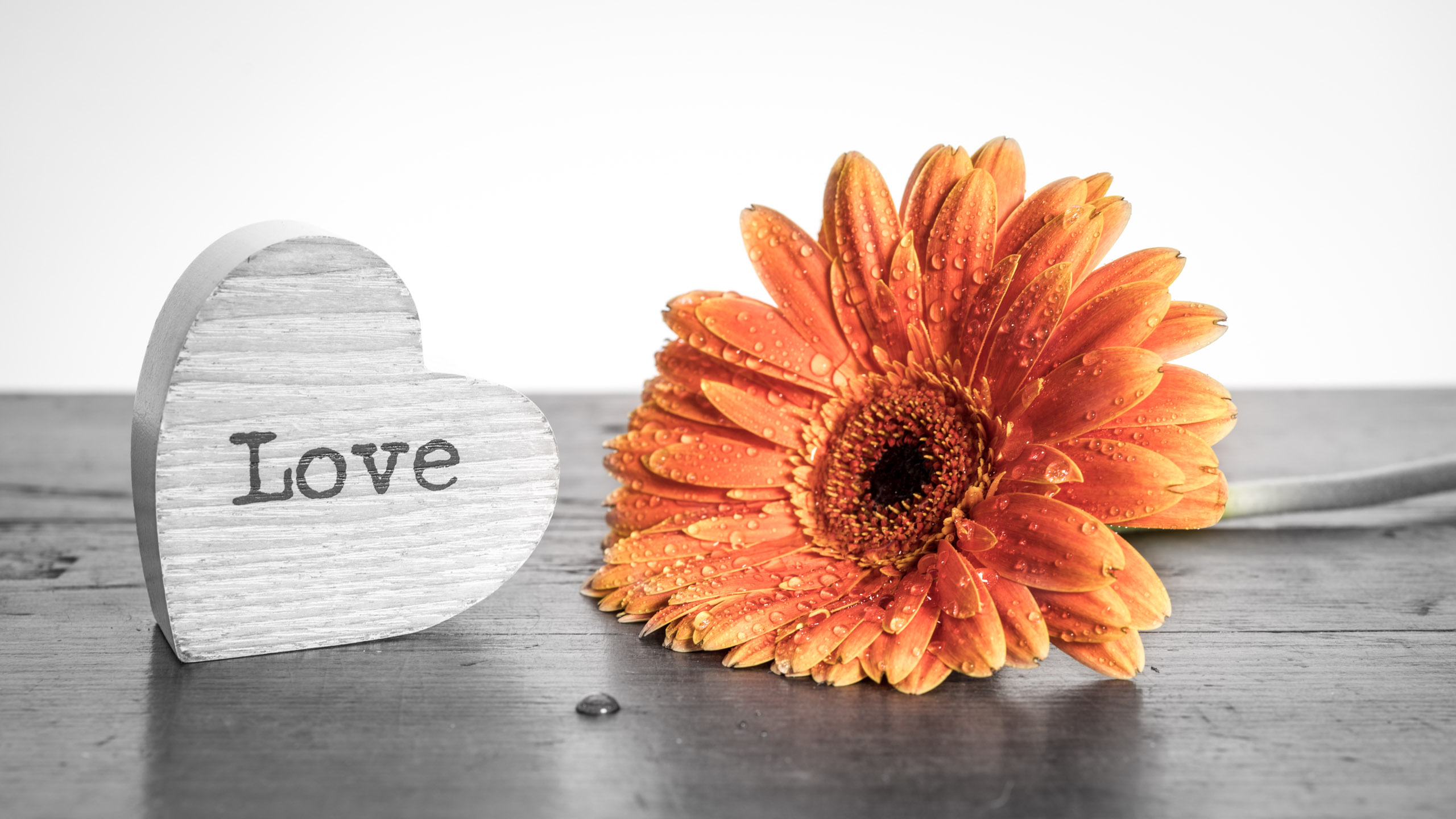 how-to-create-selective-color-in-lightroom-photofocus