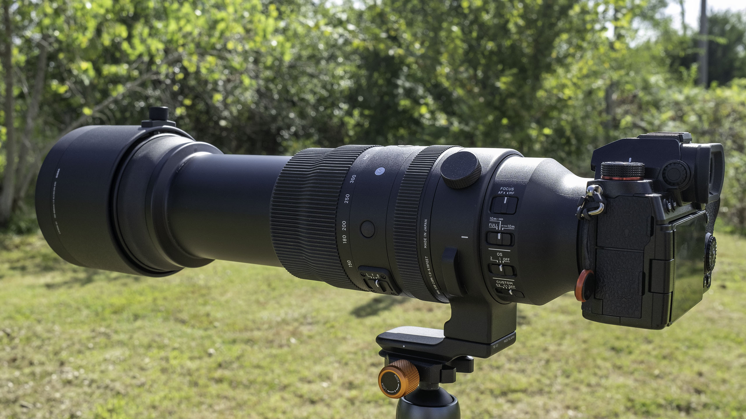 Big lens, big results: Sigma 150-600mm F/5-6.3 DG DN OS Sport review