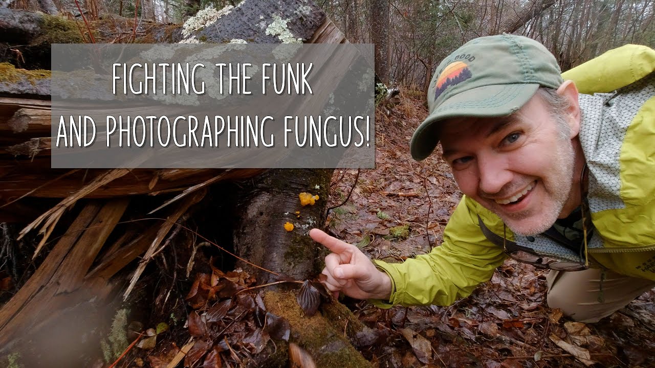 Fighting the Funk and Photographing Fungus – youtube Fighting the Funk and Photographing Fungus - youtube