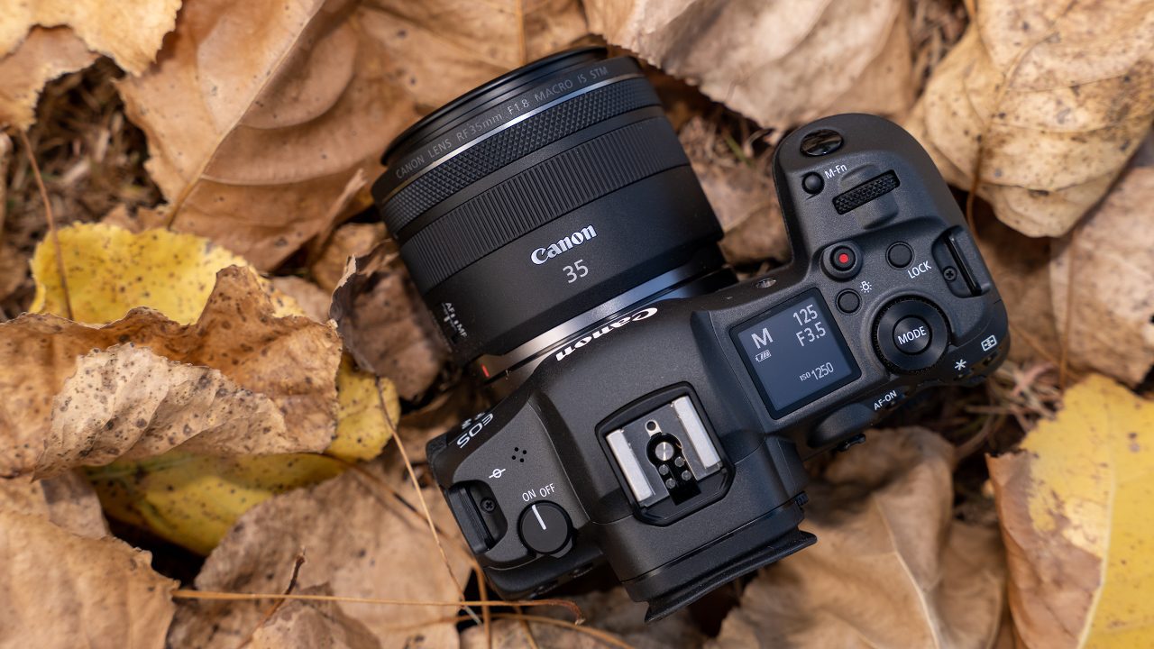 Canon RF 35mm f/1.8 IS Macro STM Review: A good entry-level lens