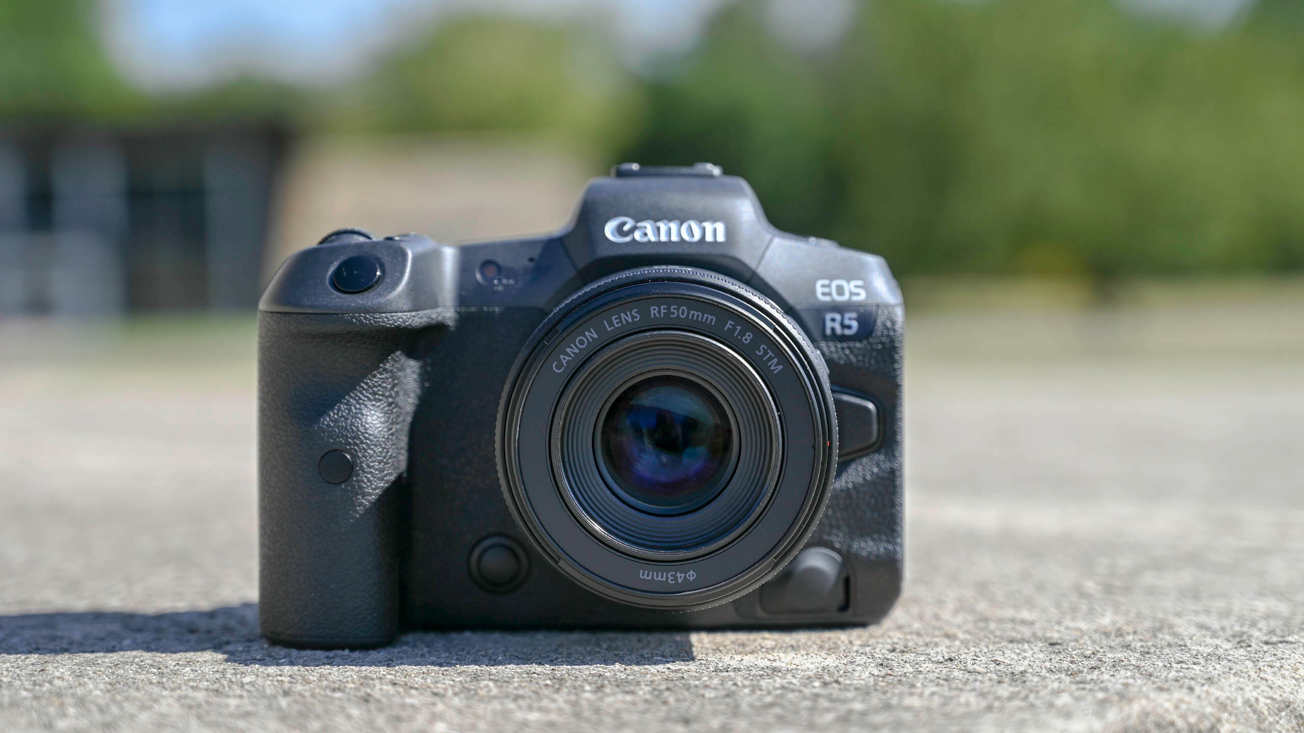 Canon RF 50mm F/1.8 STM review: It's everything a nifty