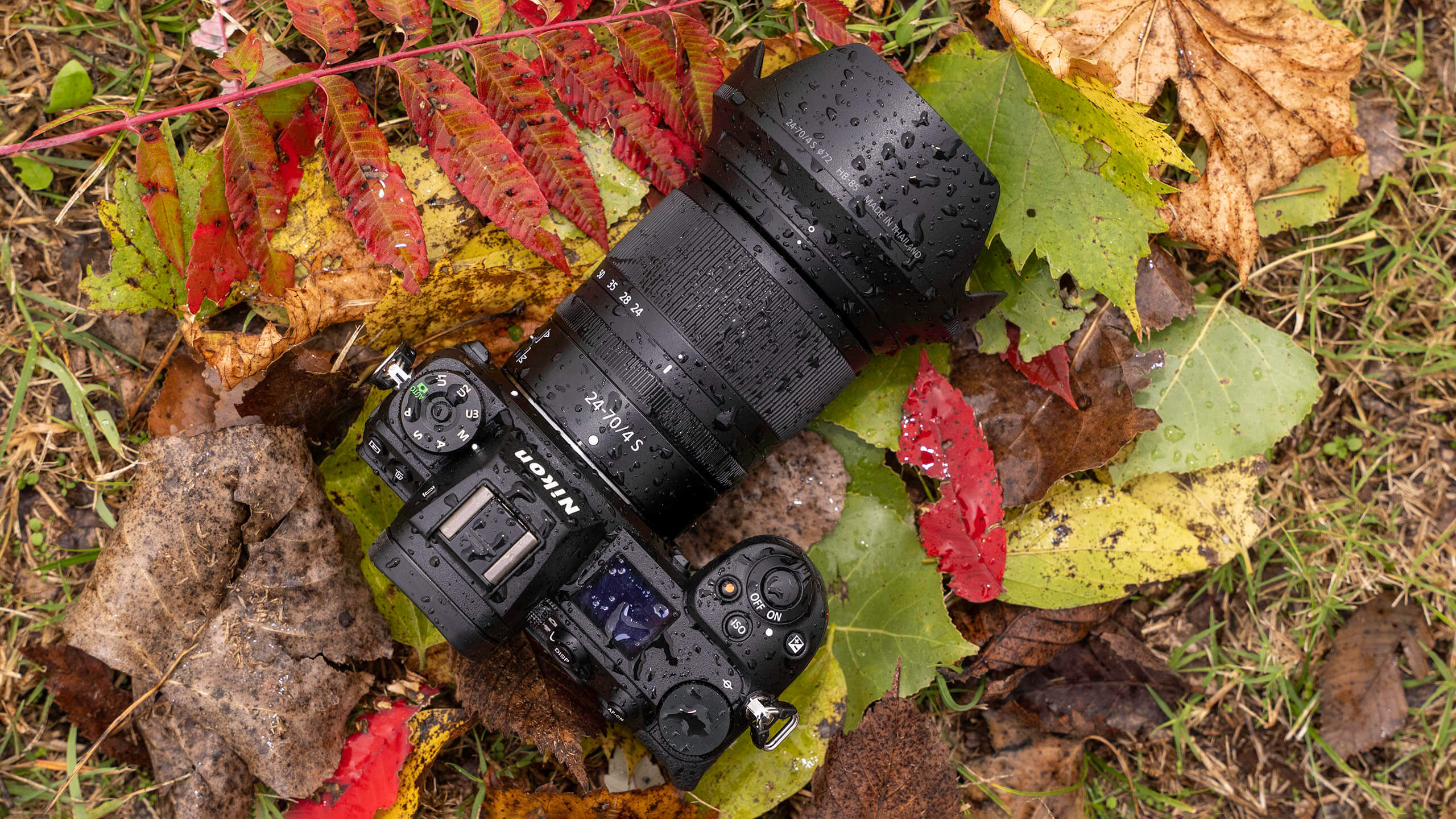 Nikon Z 24-70mm F/4 S review: A kit lens that punches above its weight