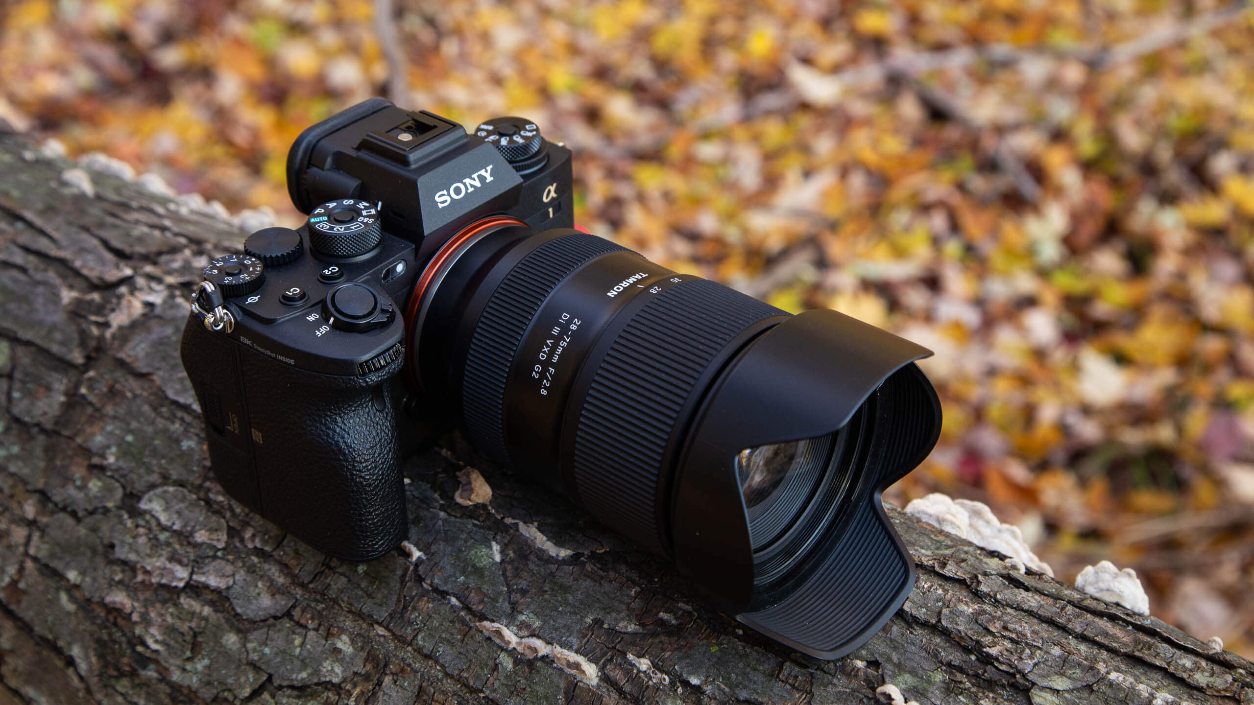 Tamron 28-75mm f/2.8 G2 for E-mount: Up-leveling the traditional