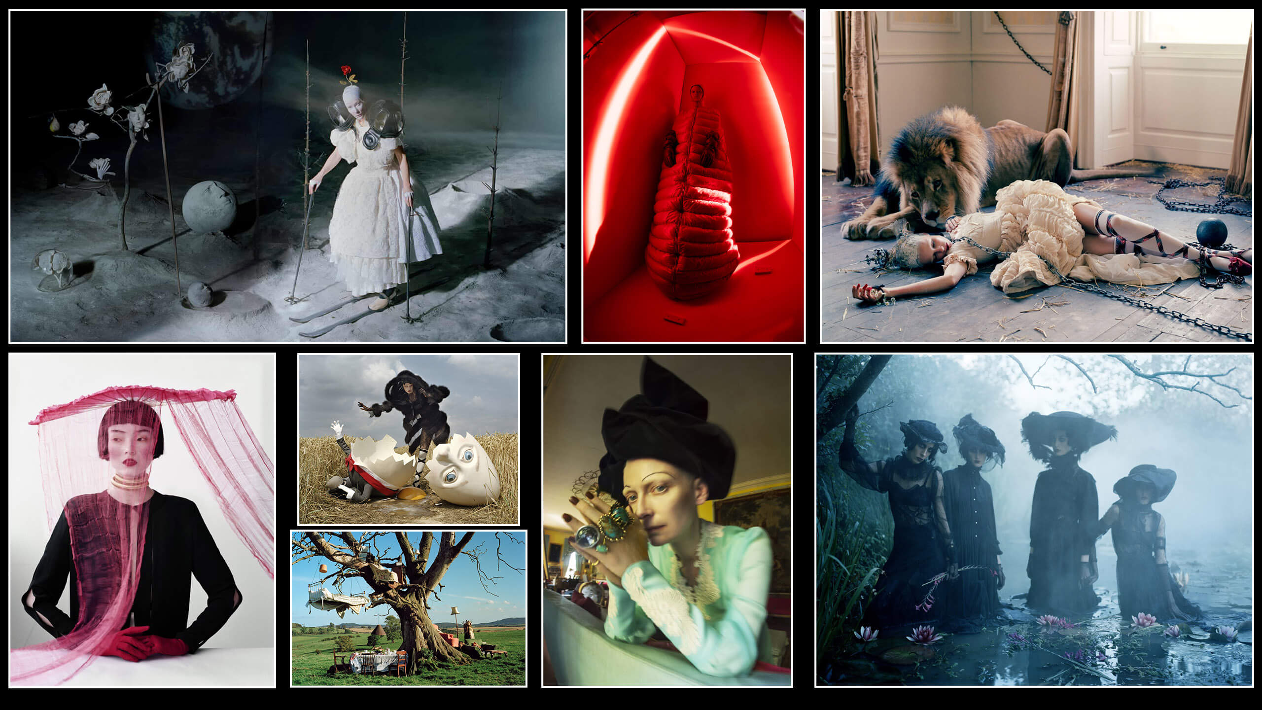 Tim Walker  Michael Hoppen Gallery