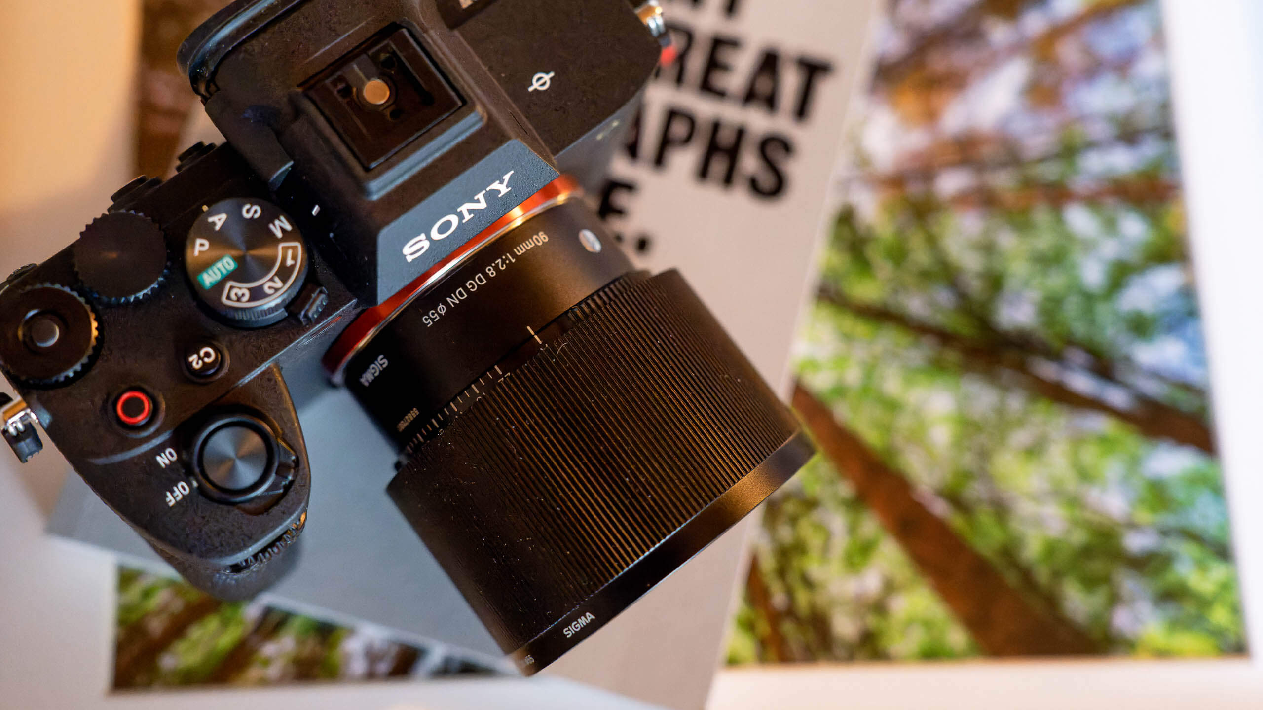 Sigma 90mm f/2.8 DG DN review: In a saturated field, does the 90mm
