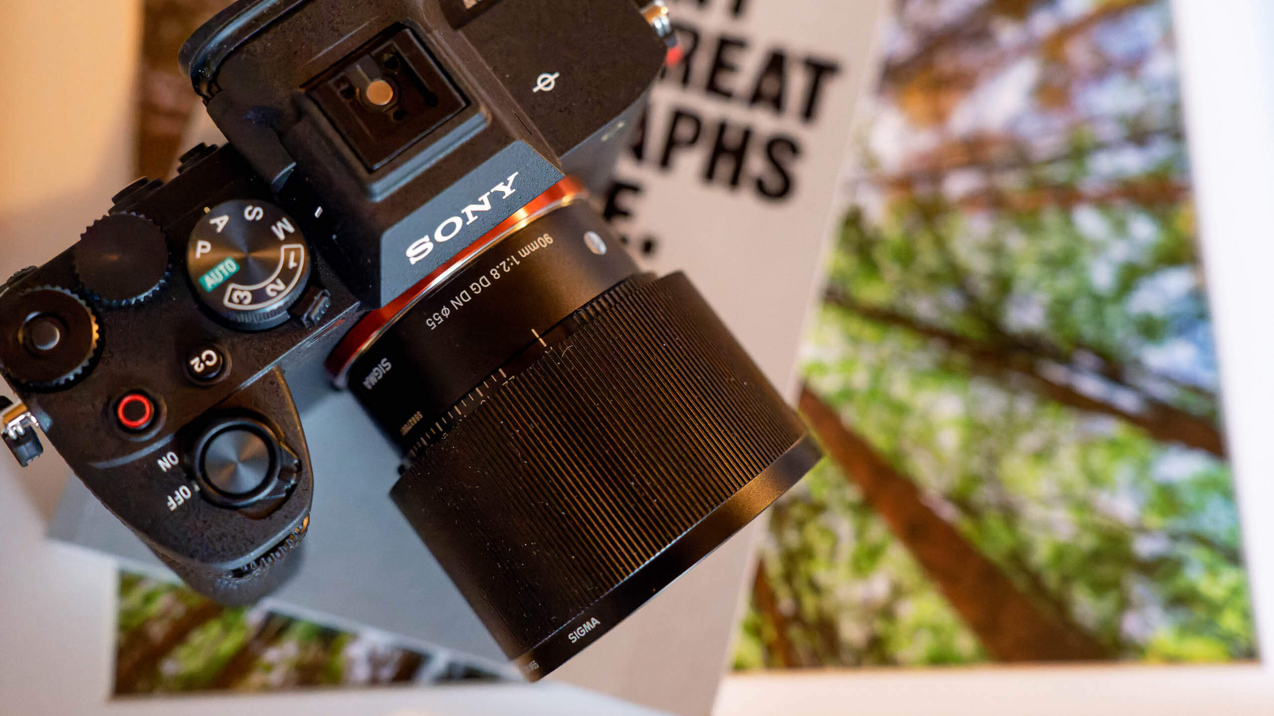 Sigma 90mm f/2.8 DG DN review: In a saturated field, does the 90mm ...