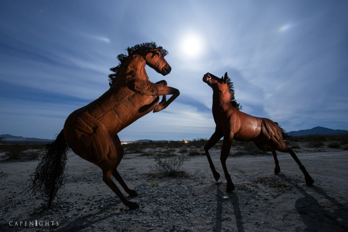 The horse sculptures of Borrego Springs underneath the starry desert sky at night. Photo by Tim Little.