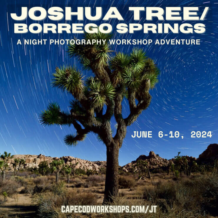 Joshua Tree / Borrego Springs night photography workshop adventure June 2024