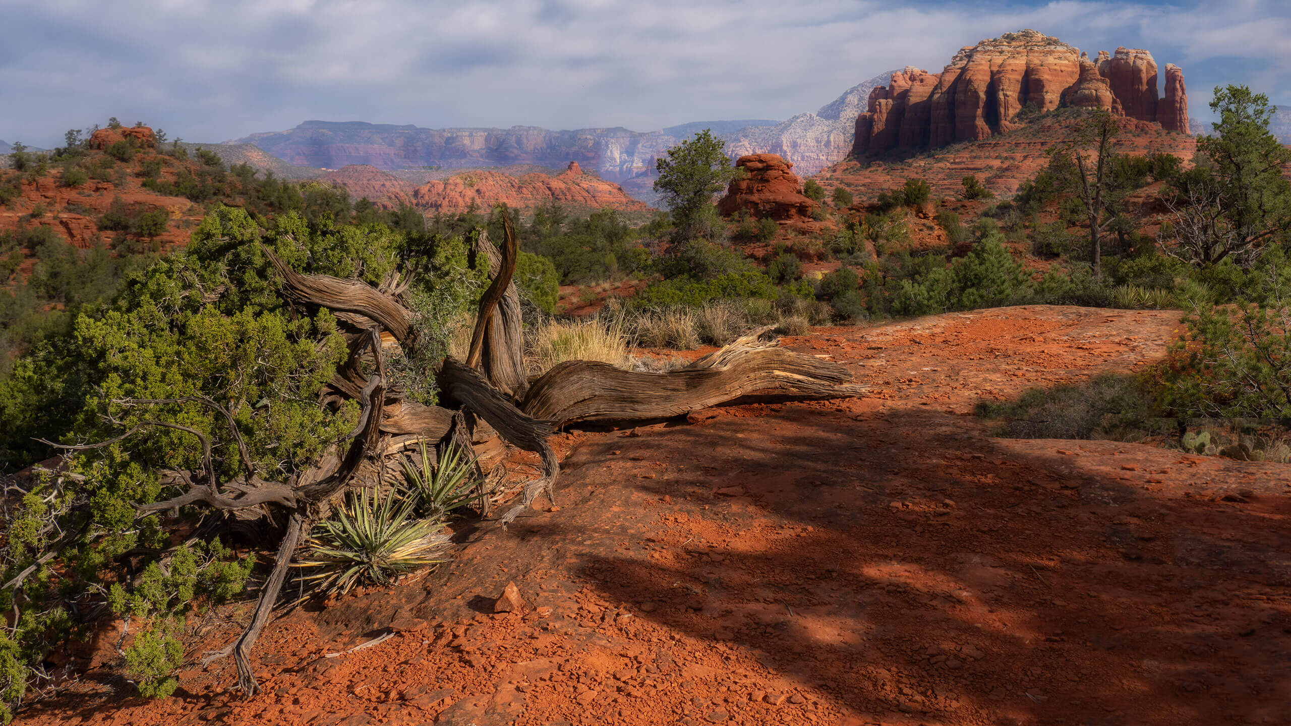 Forced perspective landscape photography